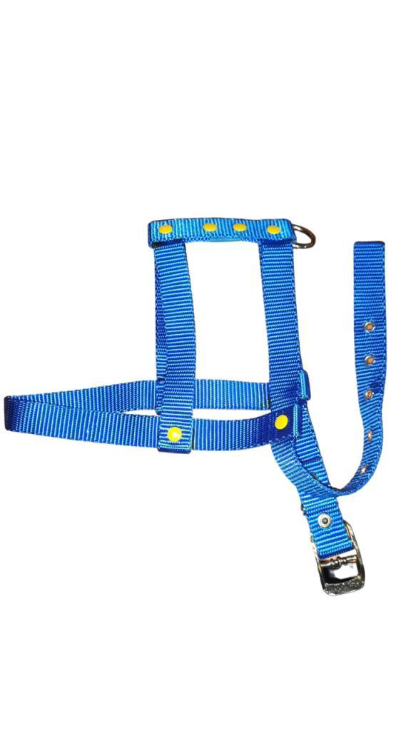 Lovely Ayarlanır Köpek Göğüs Tasması 2cm 5-17 Kg Aralığındaki Köp