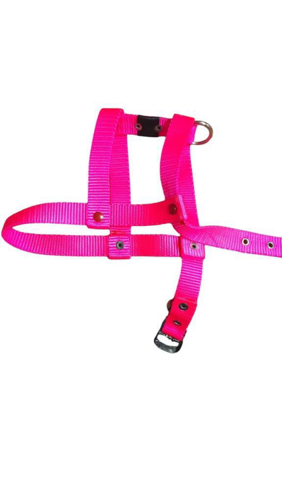 Lovely  Ayarlanir Köpek Göğüs Tasmasi 2Cm 5-17 Kg Araliğindaki Köp