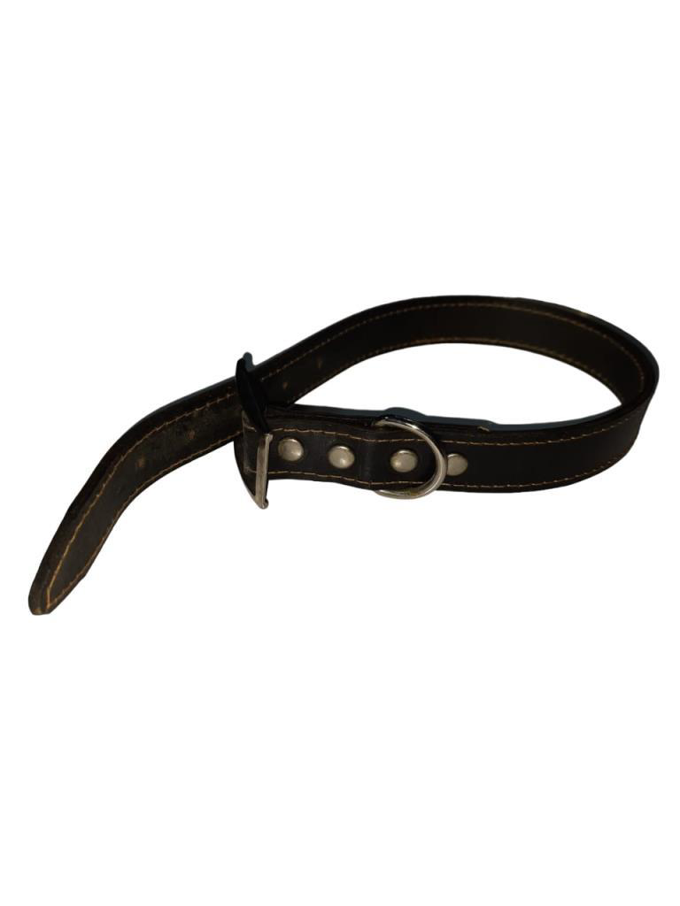 Lovely Deri Ayarlanır Köpek Boyun Tasma Yeşil 5-17 Kg Köpeklere U