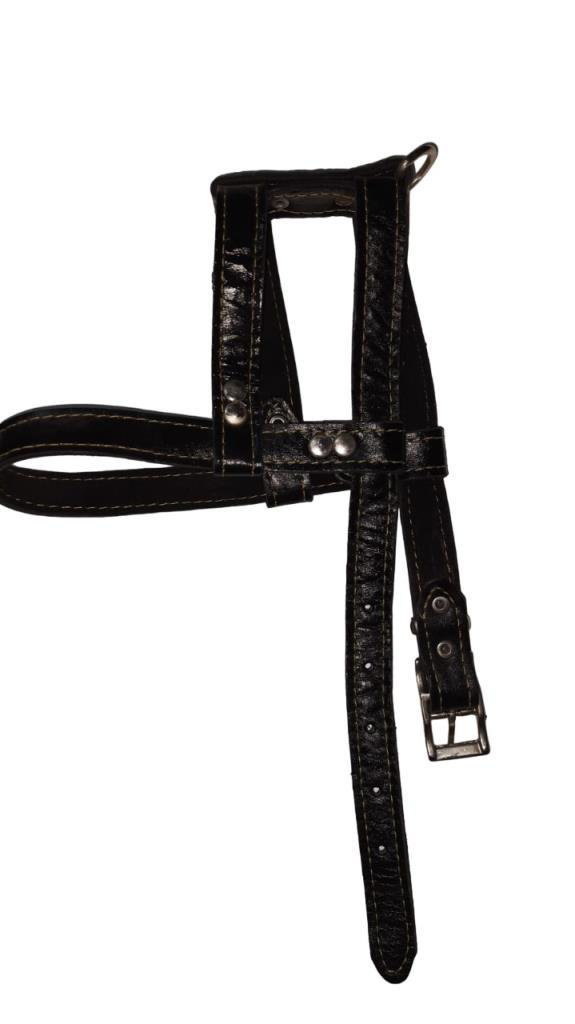 Lovely  Hakiki Deri Ayarlanir Köpek Göğüs Tasmasi 2Cm 15-25Kg Köpe