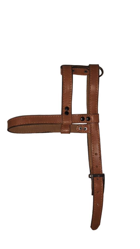 Lovely  Hakiki Deri Ayarlanir Köpek Göğüs Tasmasi 2Cm 5-17Kg Köpek