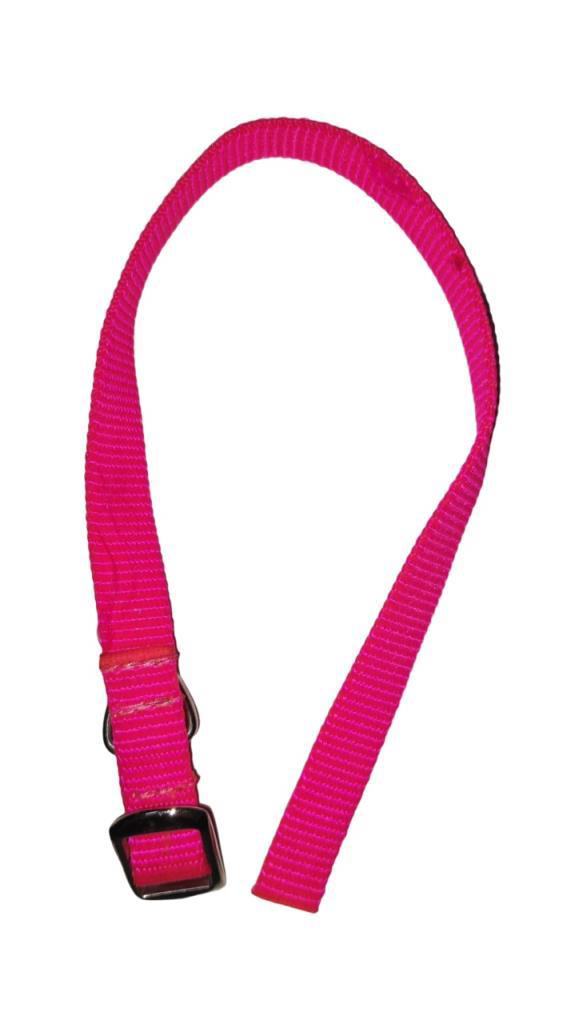 Lovely  Köpek Boyun Tasma 1,5Cm-40Cm Pembe