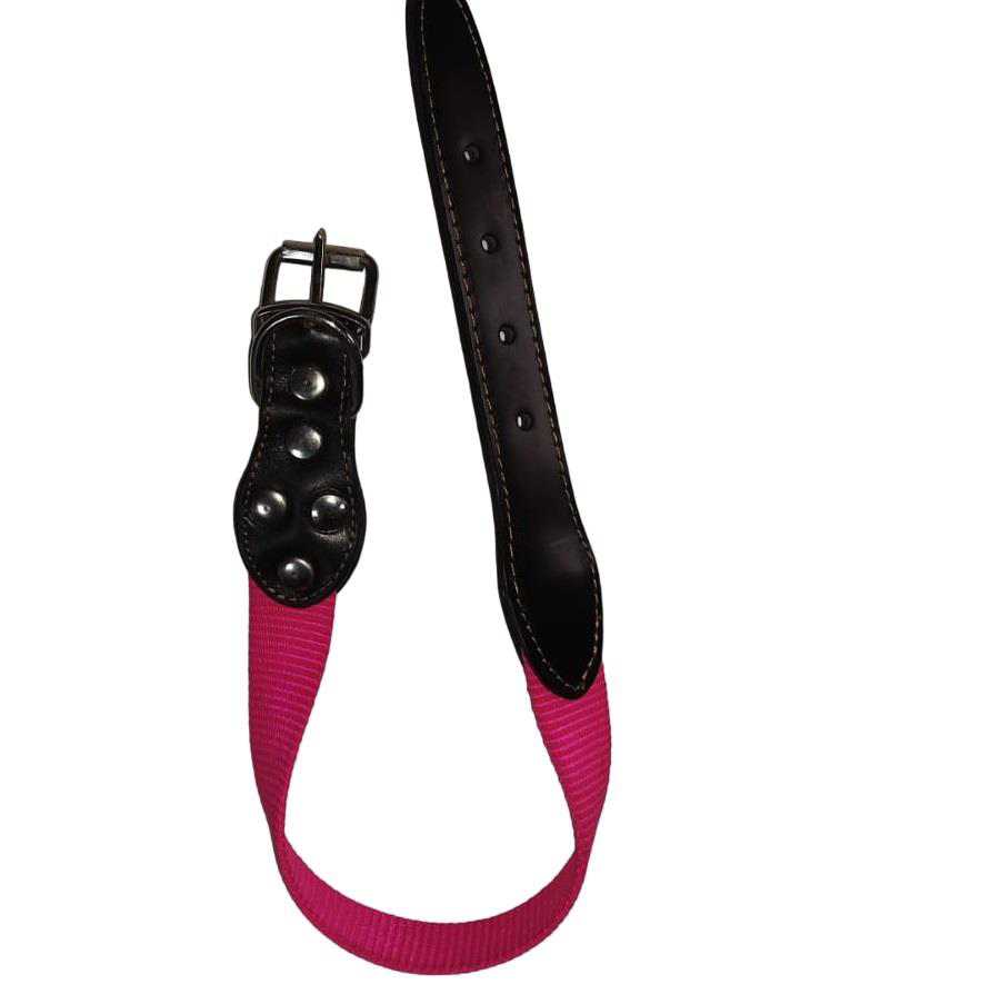 Lovely Köpek Boyun Tasma 2,5cm-56cm PEMBE