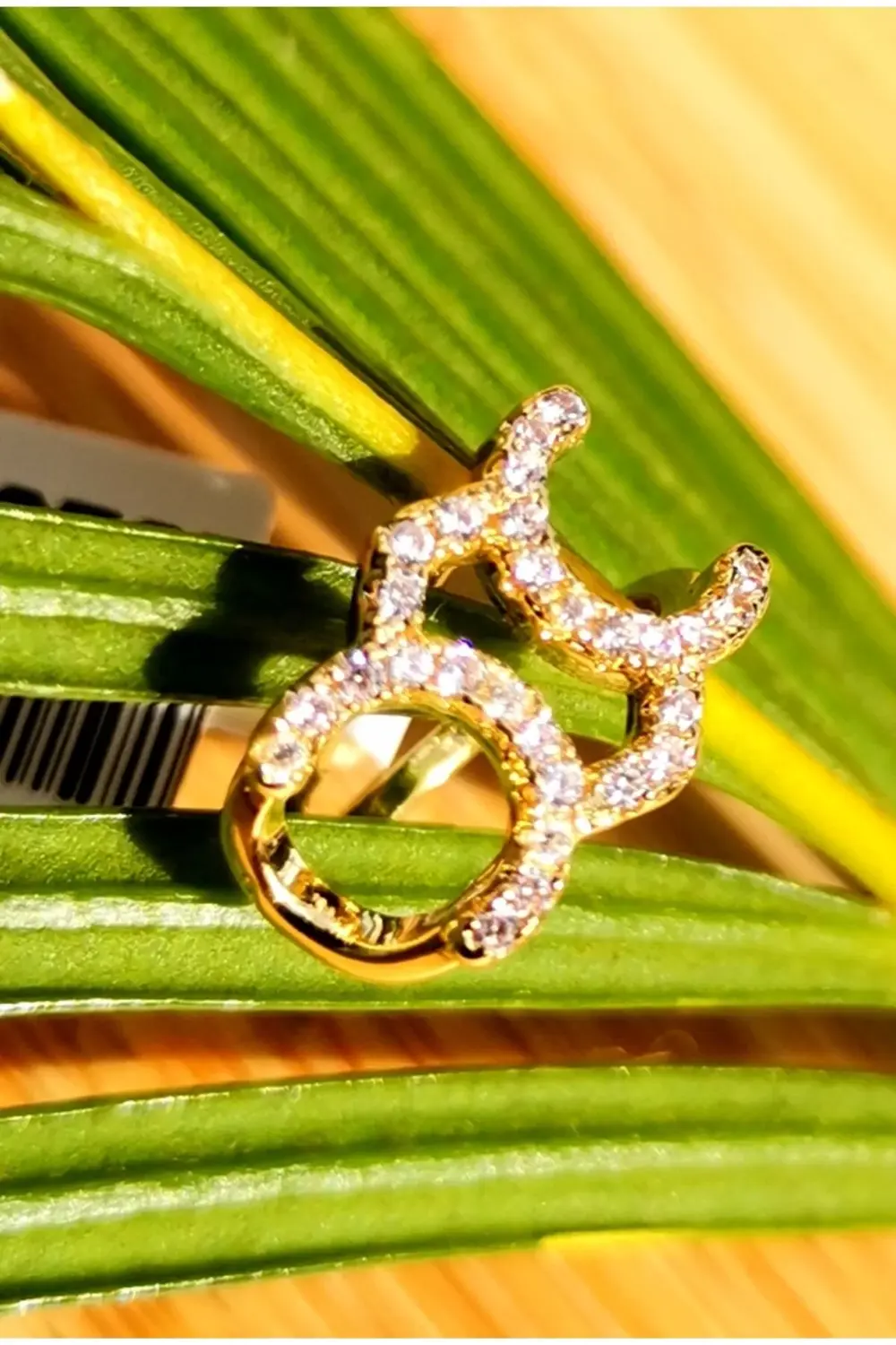 Lüks Çelik Gold Renk Kıkırdak Küpe