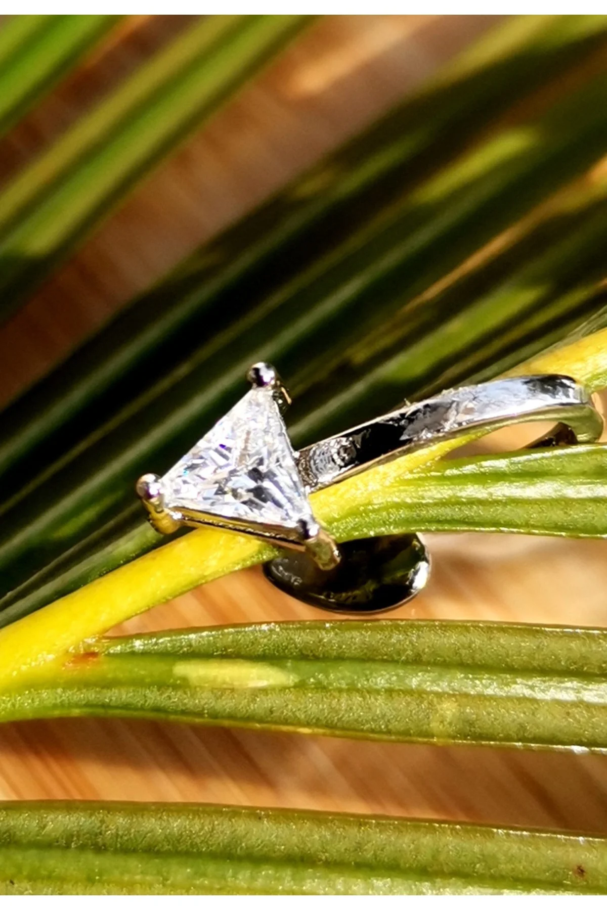 Lüks Çelik Gümüş Renk Kıkırdak Küpe