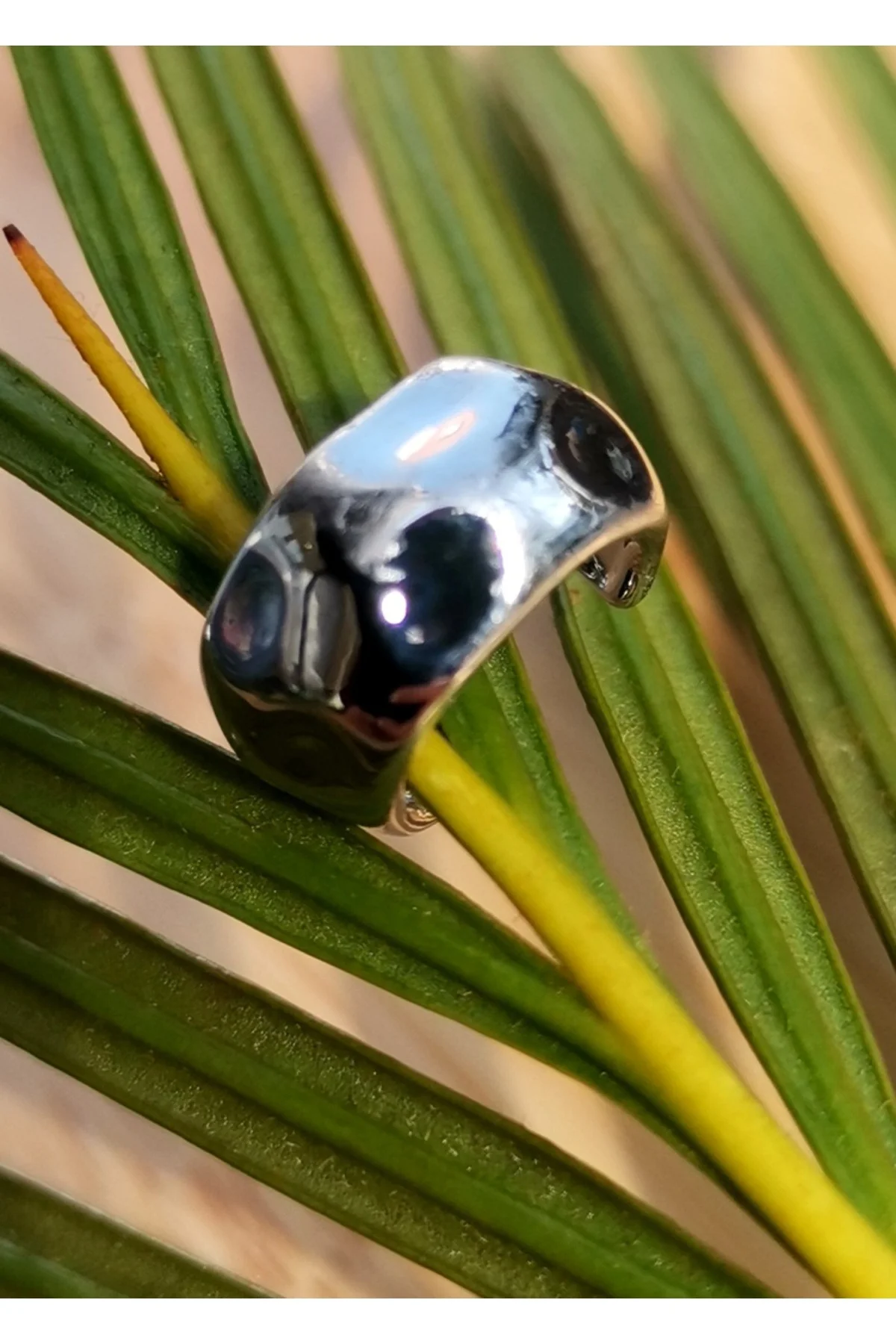 Lüks Çelik Gümüş Renk Kıkırdak Küpe