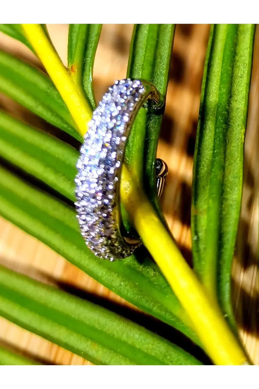 Lüks Çelik Gümüş Renk Kıkırdak Küpe