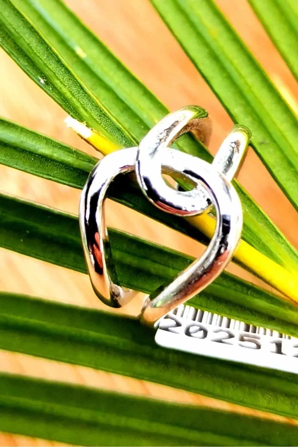 Lüks Çelik Gümüş Renk Kıkırdak Küpe