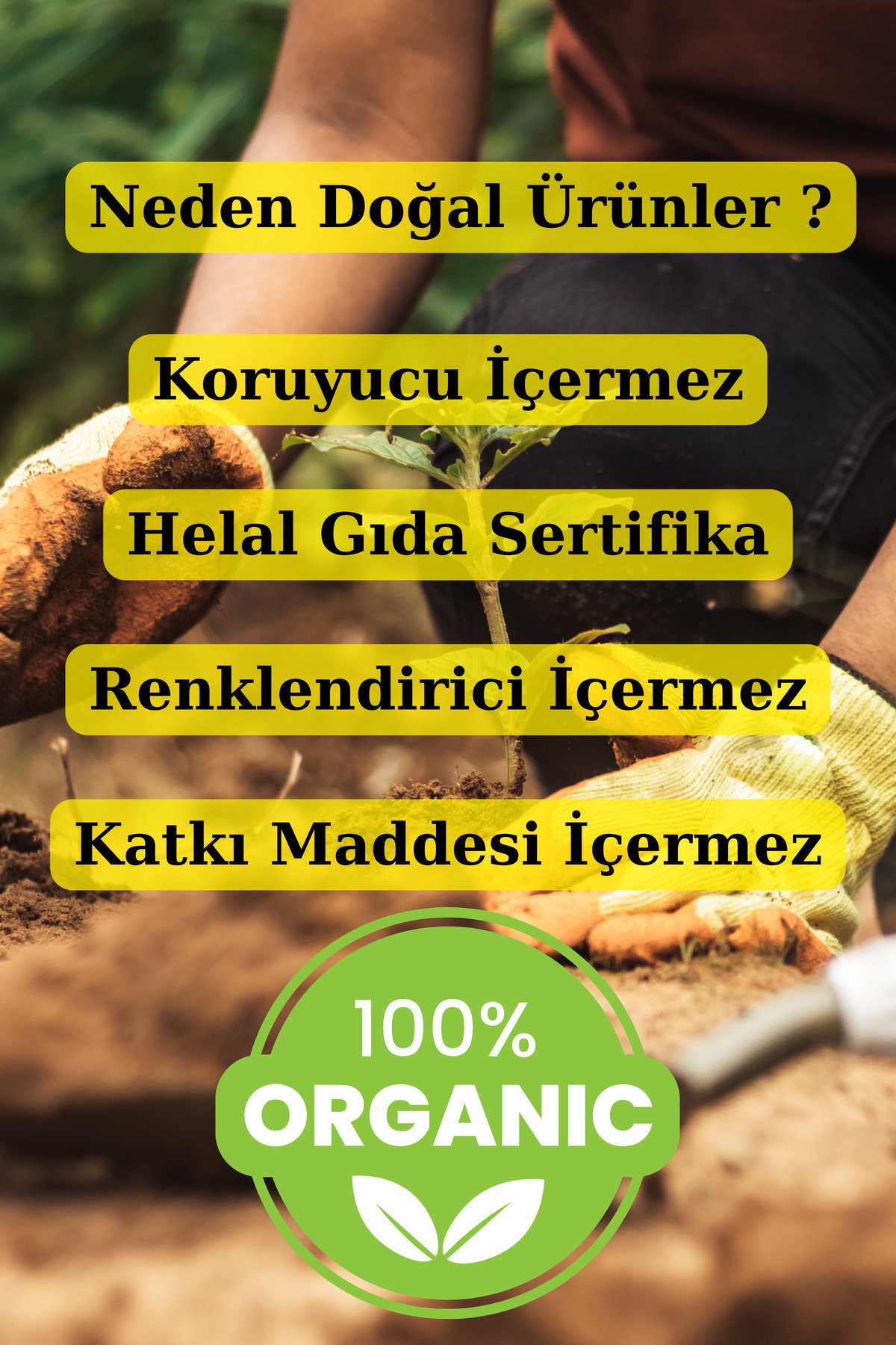 Anadoludan Yöresel Pazar Lüks Tomurcuk Yeşilçay 1Kg