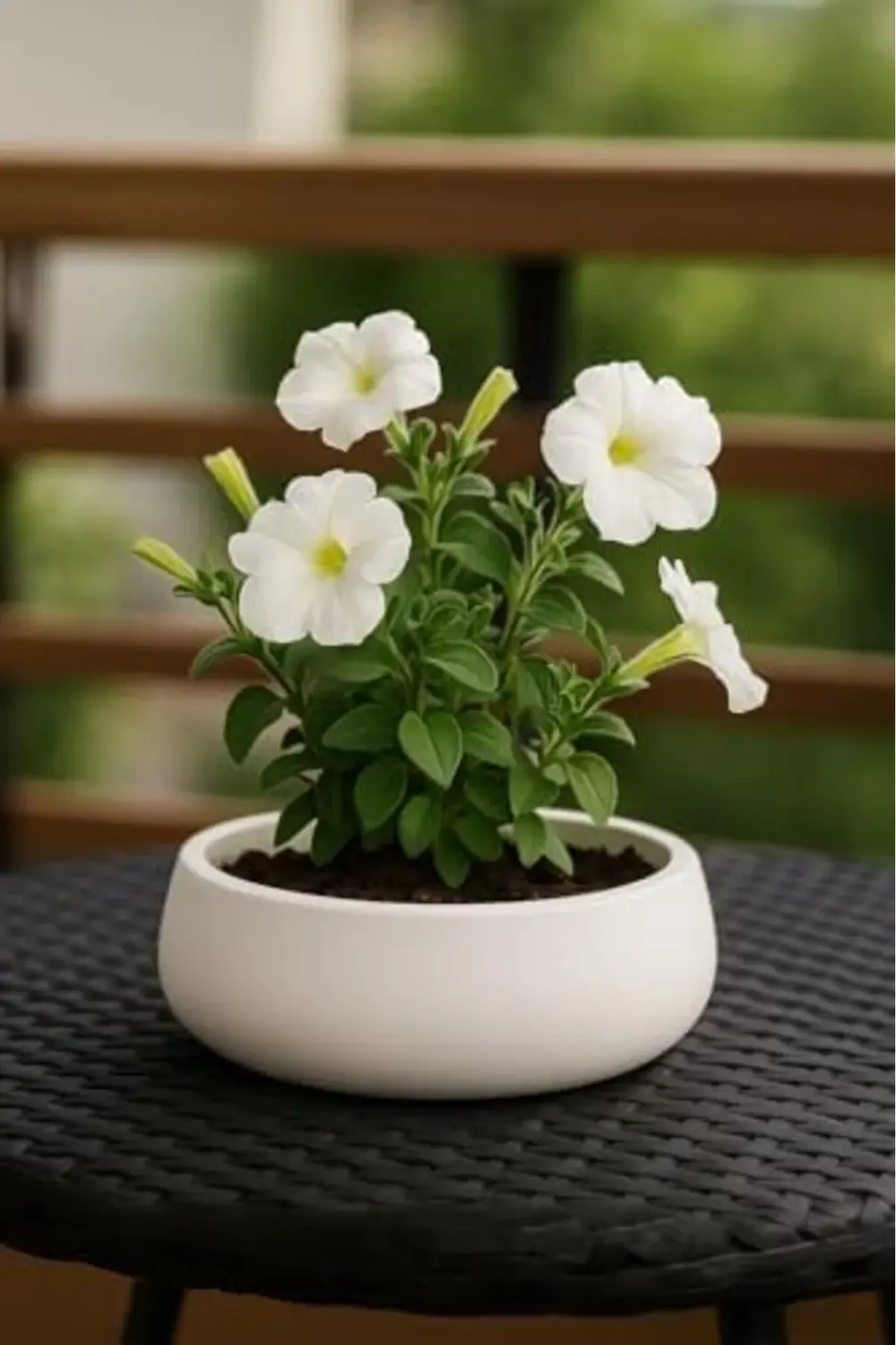 Lümin Beyaz Dekoratif Kase – El Yapımı Minimalist Tasarım