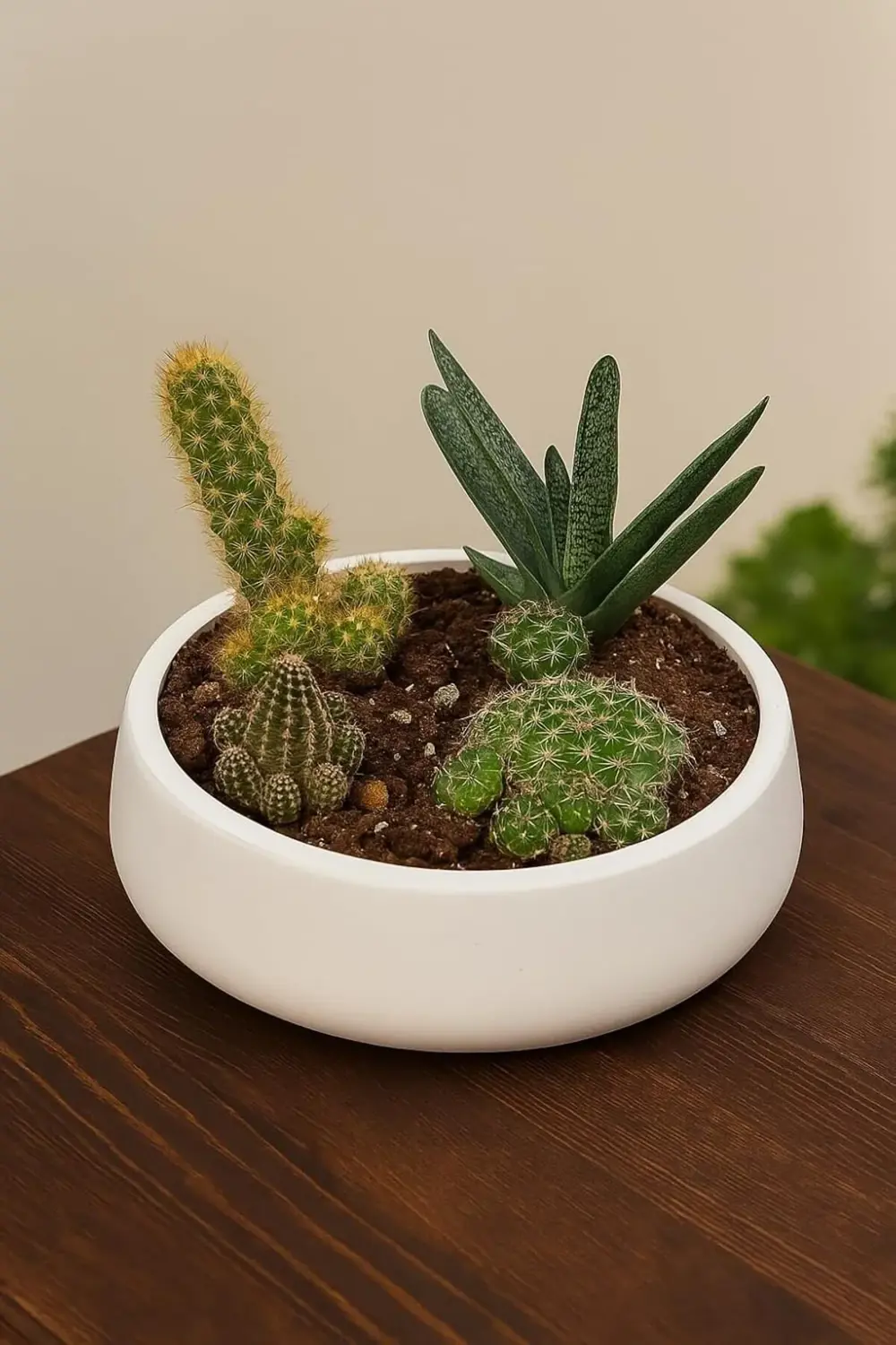 Lümin Beyaz Dekoratif Kase – El Yapımı Minimalist Tasarım