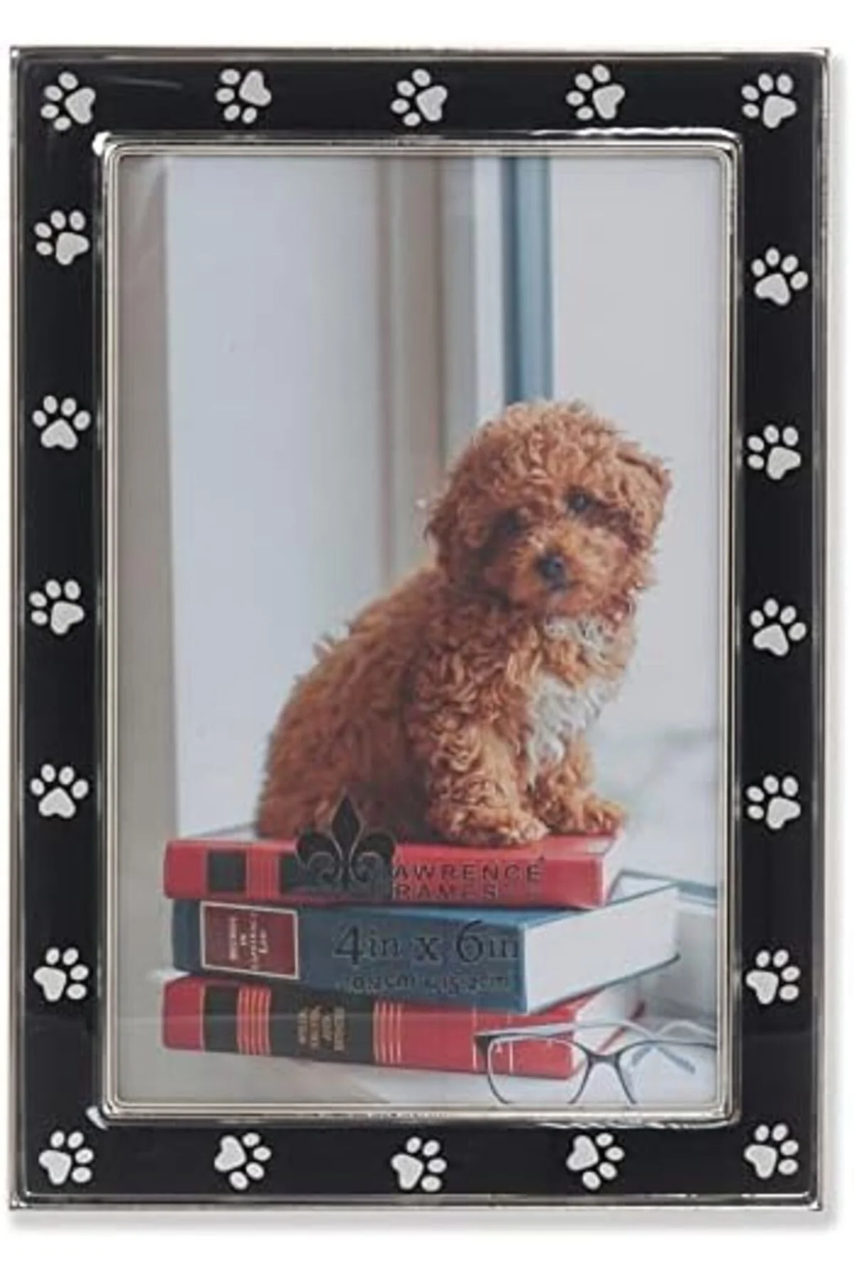 LuxShoping 4x6 Gümüş Metal ve Siyah Resim Çerçevesi, Pençe Baskı 