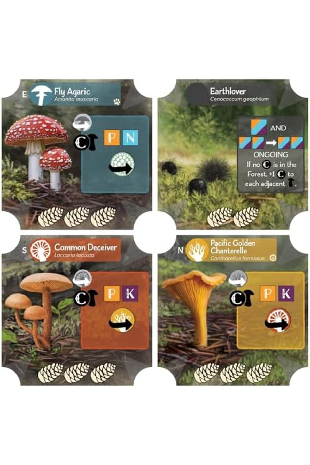 LuxShoping Alderac Entertainment Group Undergrove 1142128