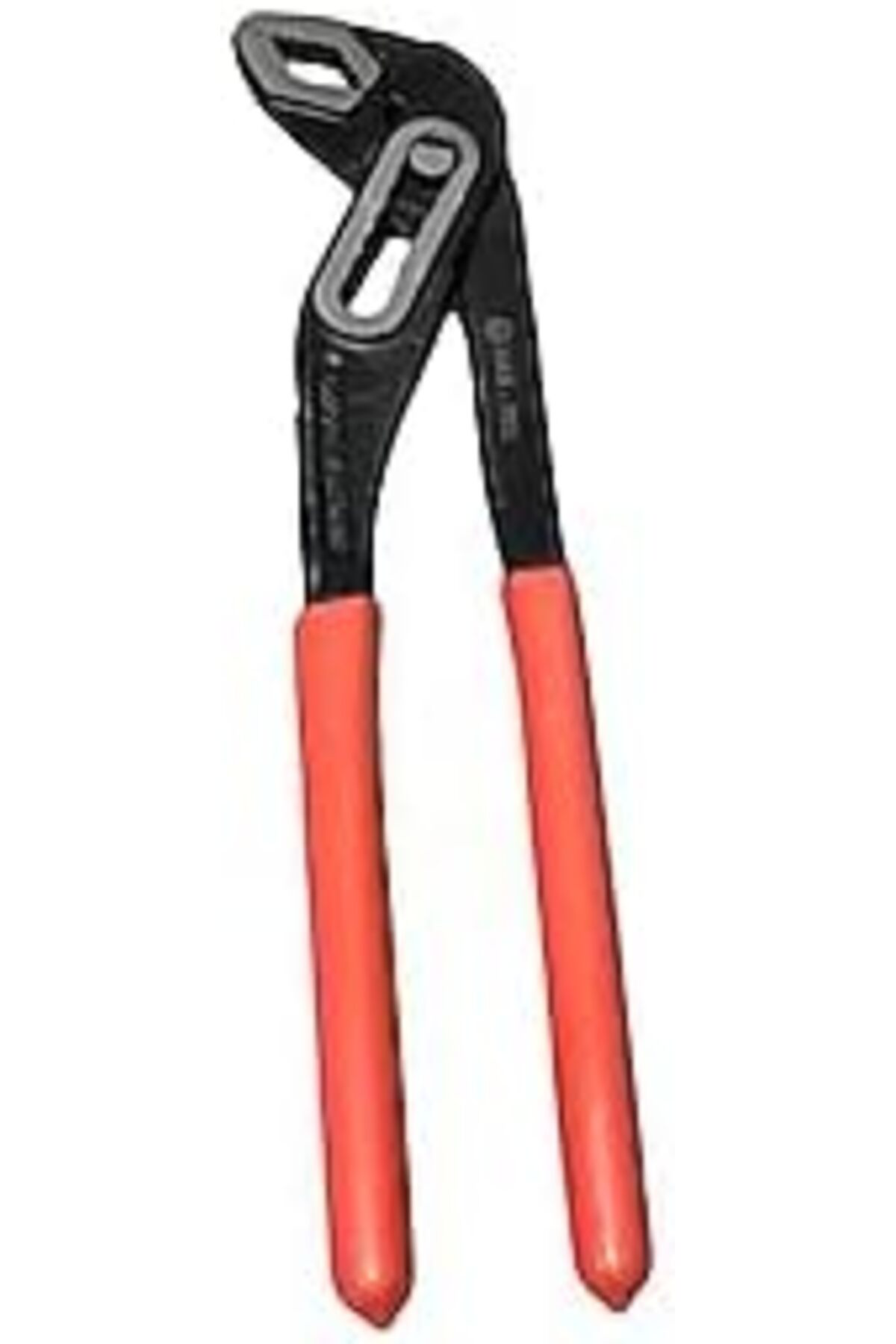 LuxShoping AYARLI FORT PAPAĞAN PENSE 1142128