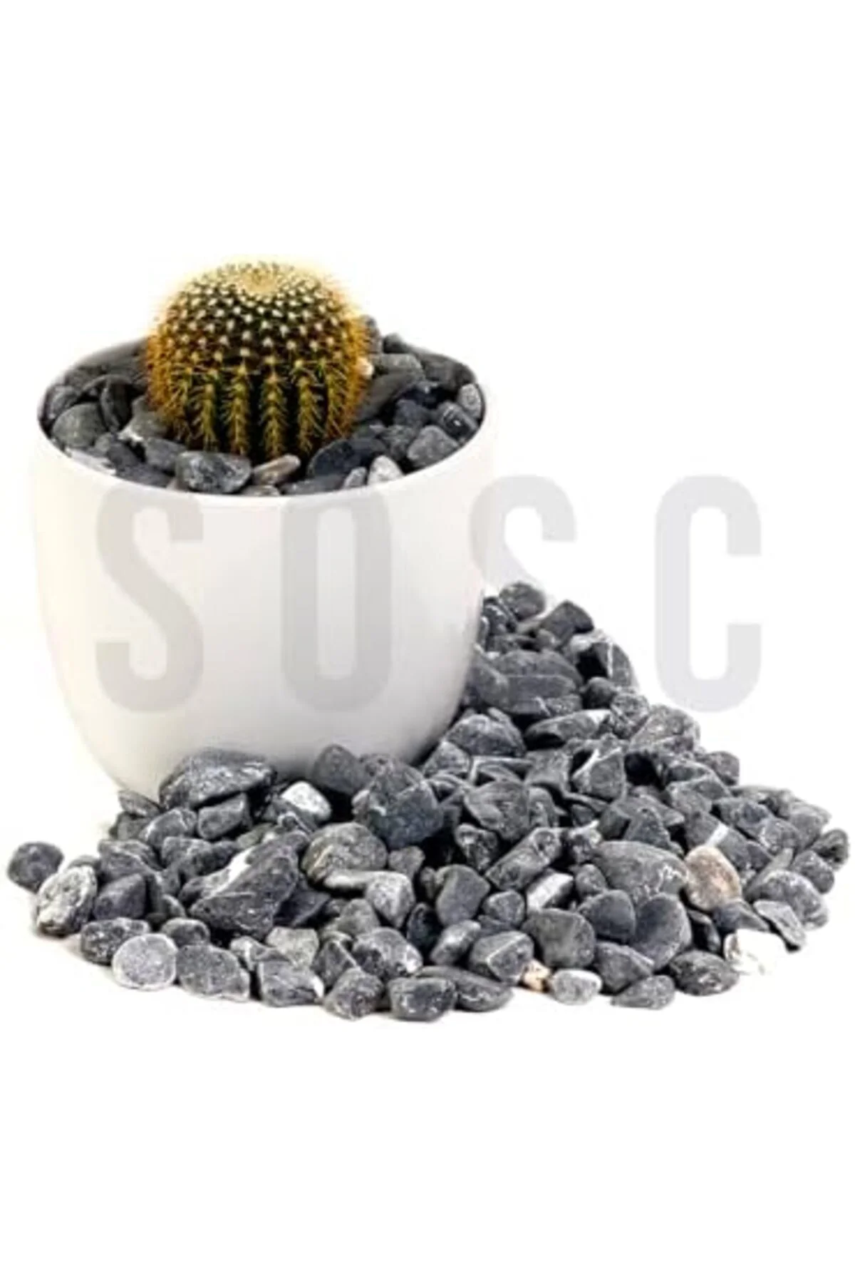 LuxShoping Çakıl taşı Dolomit taşı Bahçe süsü Akvaryum taşı Dere 