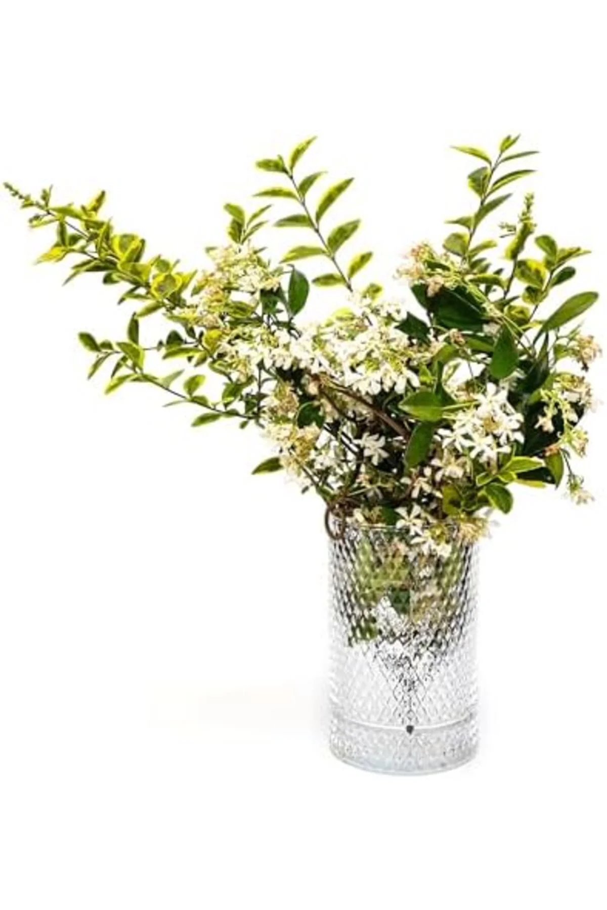 LuxShoping Cam Vazo/Mumluk (17 cm) 1142128