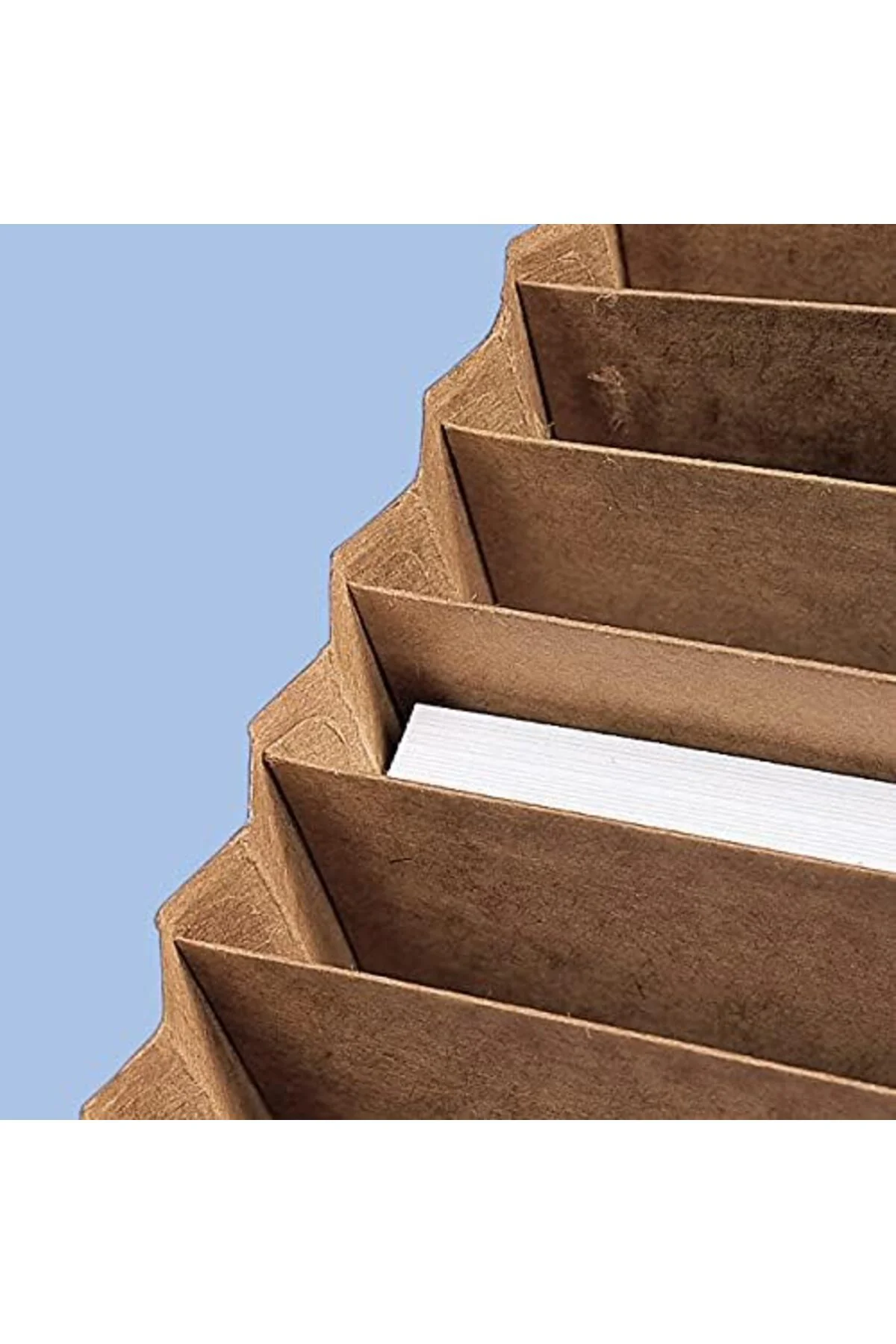 LuxShoping Kapaklı ve Kordon Kapamalı Genişleyen Dosya, 21 Cep, A