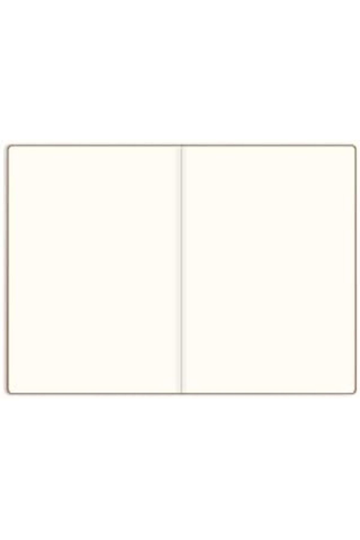 LuxShoping Le Metalik Notebook Düz Defter Shıne 17x24 1142128