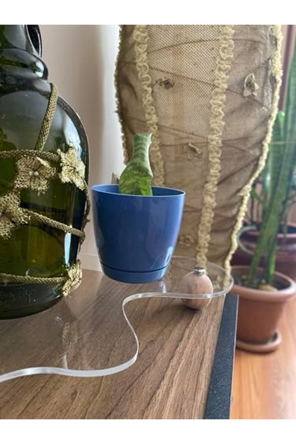 LuxShoping Lüks şeffaf organizer takı aromaterapi 1142128