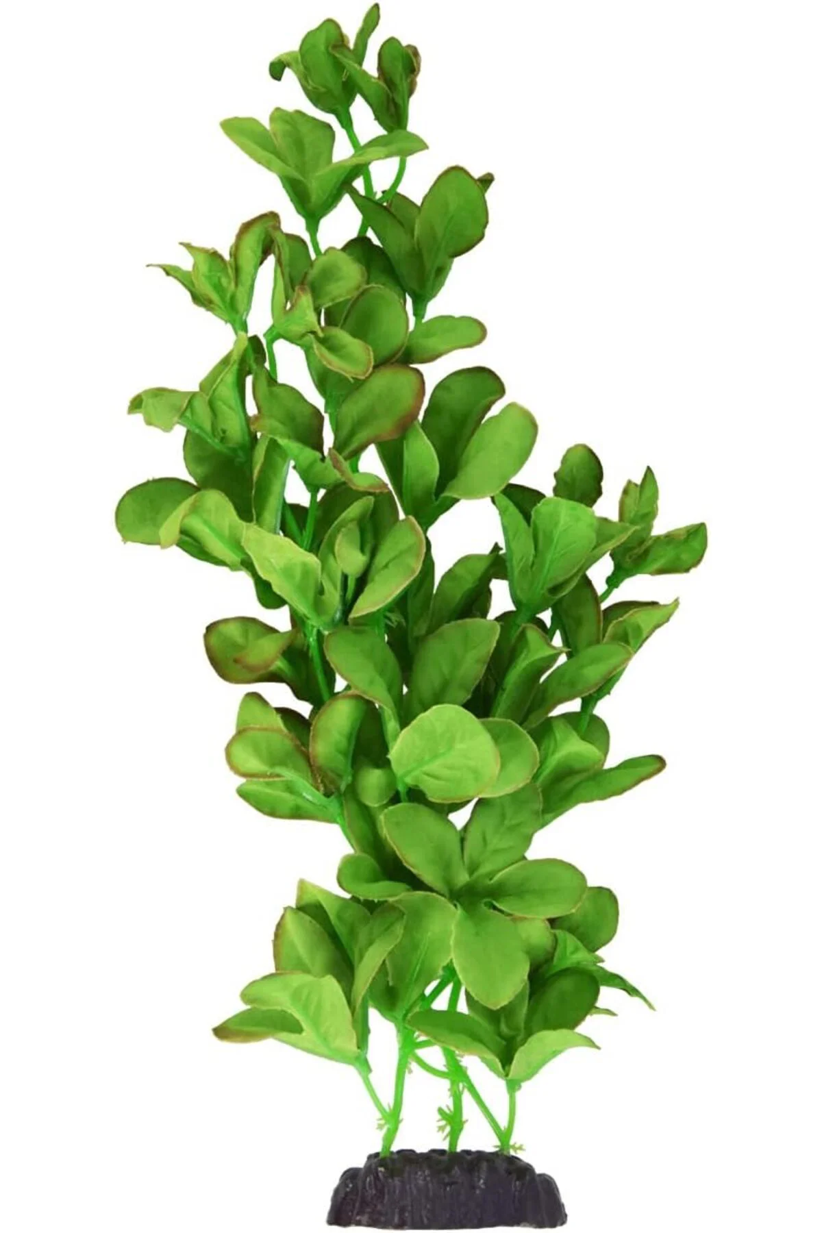 LuxShoping Underwater Treasures İpek Bacopa Monnieri - 30,48 cm 1