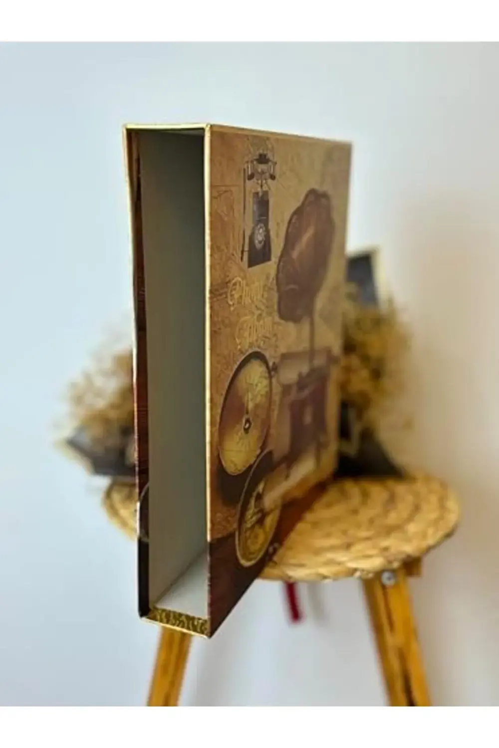 Lvn Rs21 Fotoğraf Albümü 10x15cm 600 Lük Gramafon Desenli Kutulu