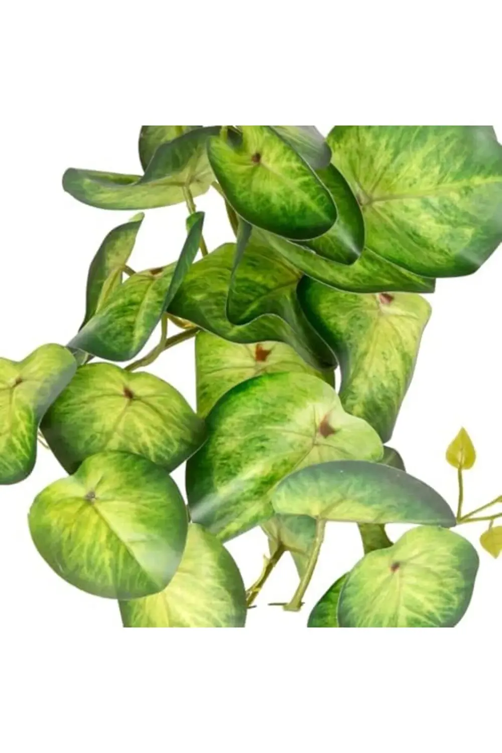 lvnmblya Yapay Bitki Salon Sarmaşığı Yeşil 35 Cm. Shop Deesing 22