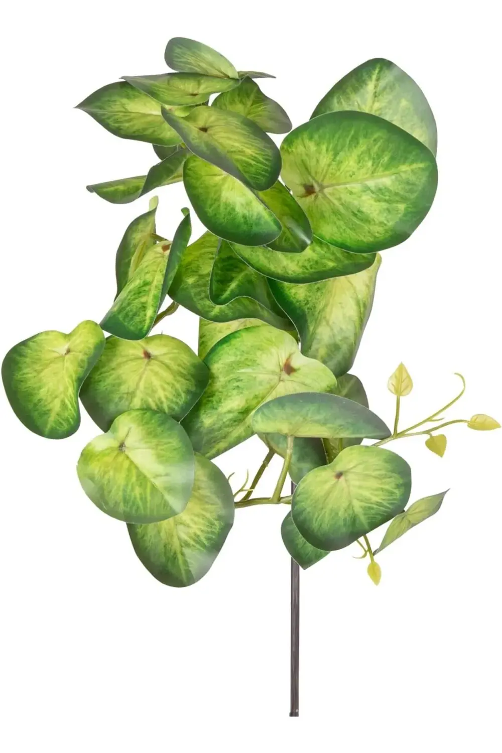 lvnmblya Yapay Bitki Salon Sarmaşığı Yeşil 35 Cm. Shop Deesing 22