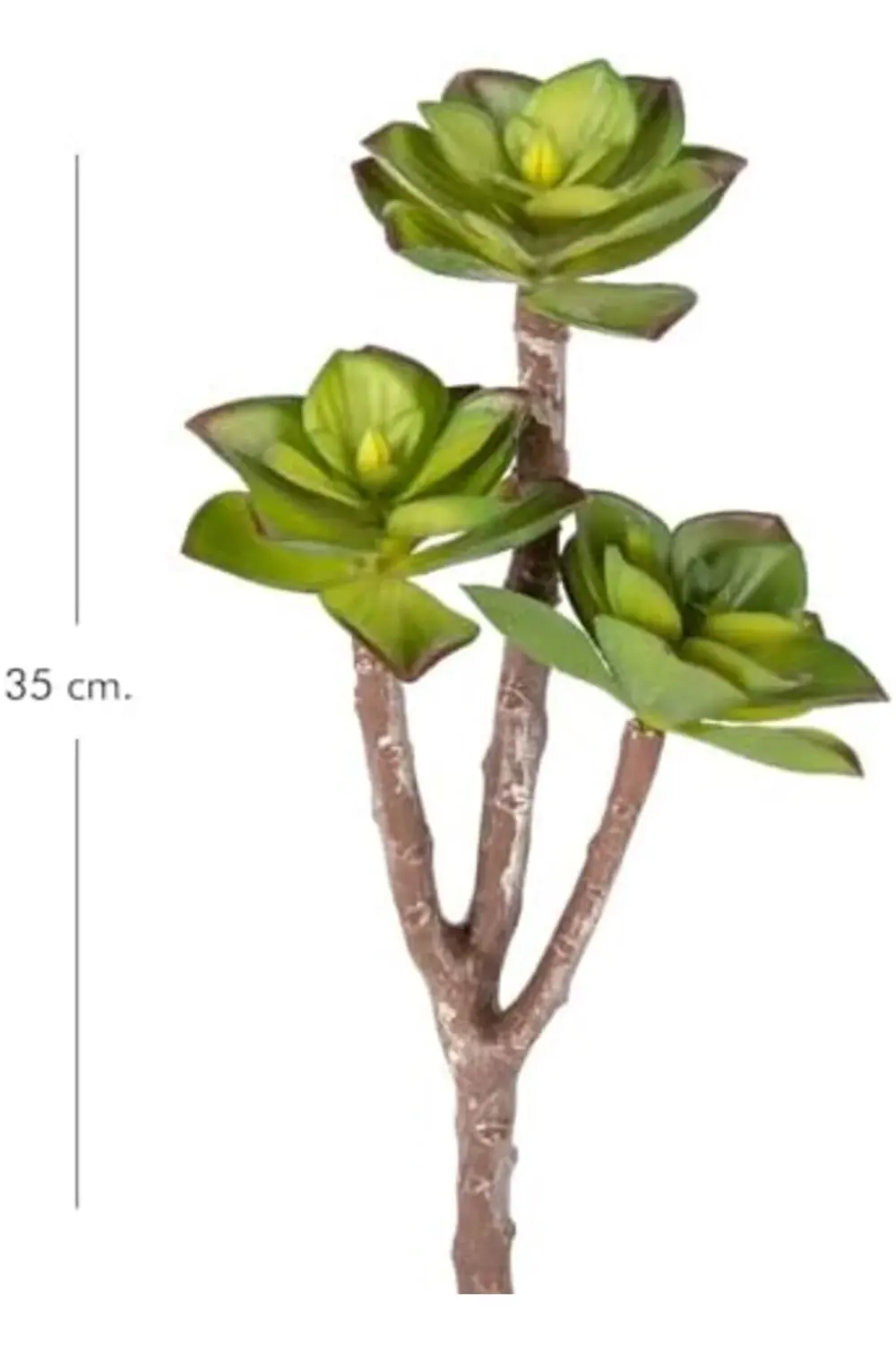 lvnmblya Yapay Kaktüs Sukulent Kırmızı-Yeşil 35 Cm. Shop Deesing