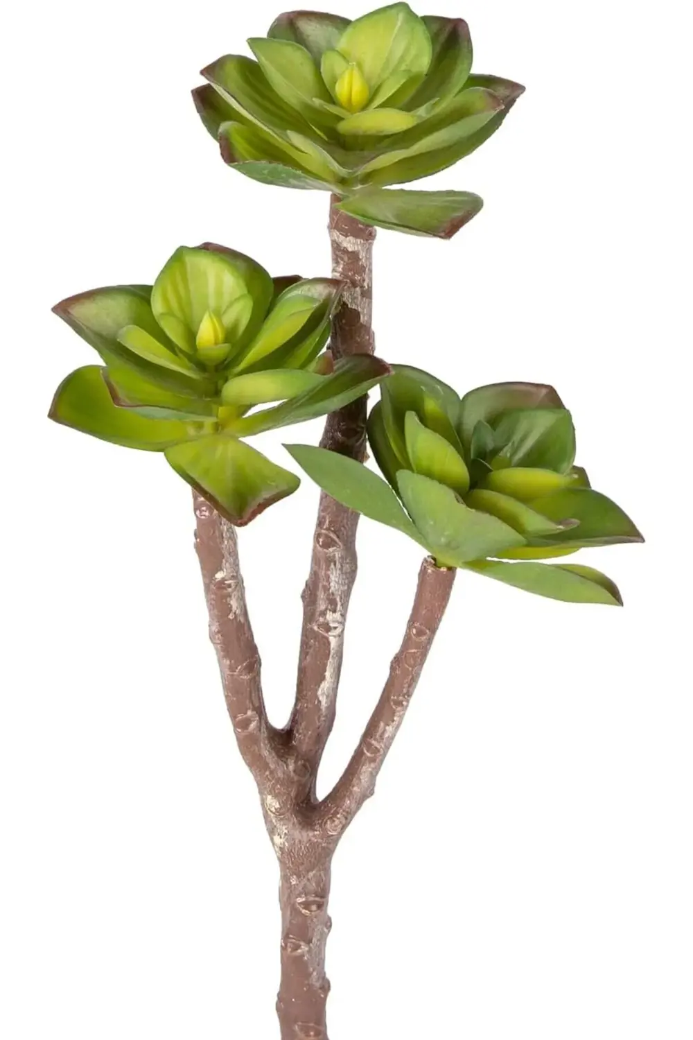 lvnmblya Yapay Kaktüs Sukulent Kırmızı-Yeşil 35 Cm. Shop Deesing