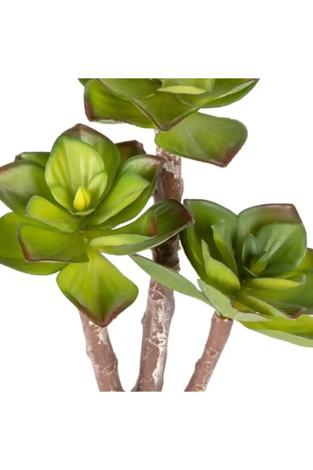 lvnmblya Yapay Kaktüs Sukulent Kırmızı-Yeşil 35 Cm. Shop Deesing