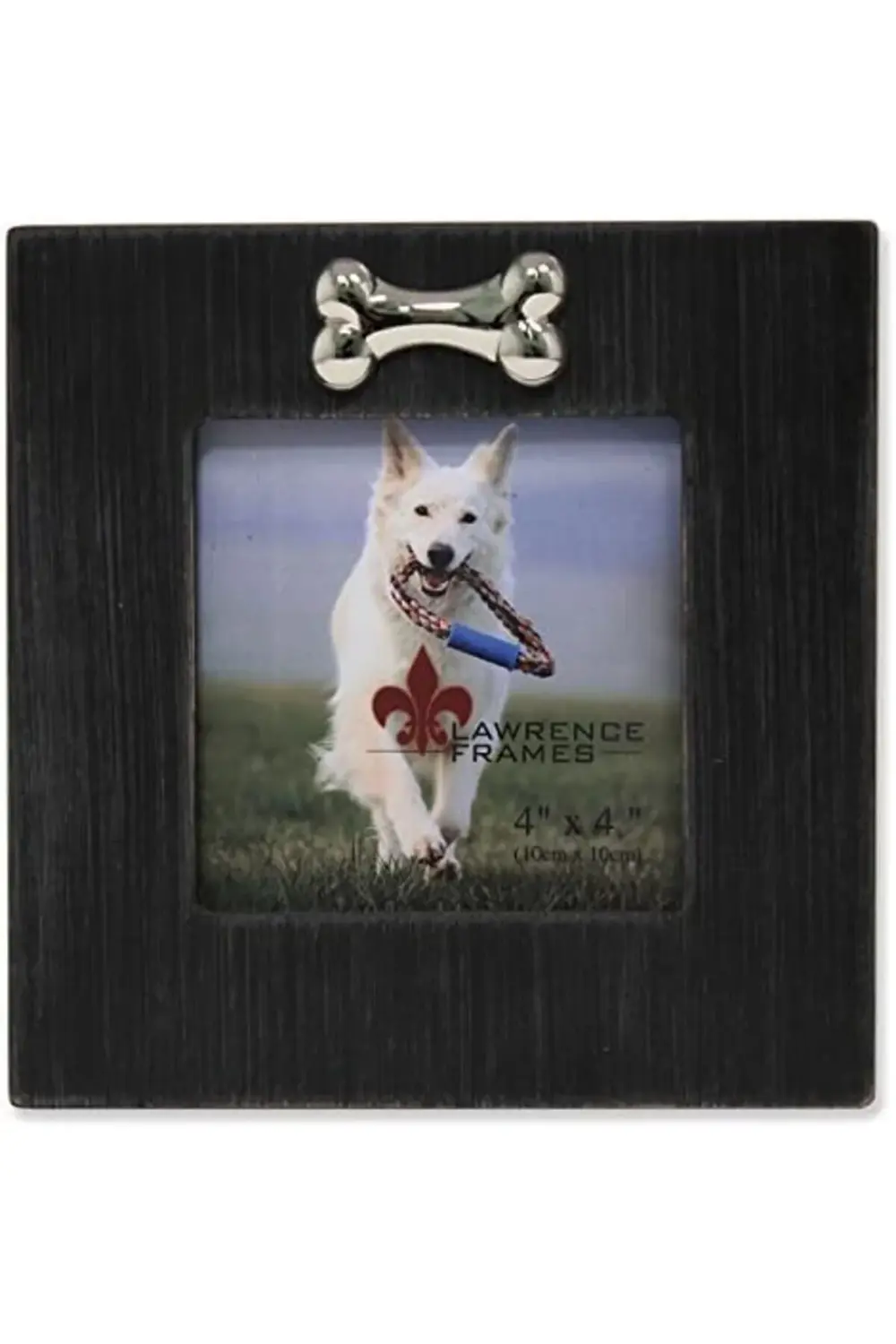 lvnshop Frames Köpek Kemikli Çerçeve, 10x10 cm, Siyah 224120
