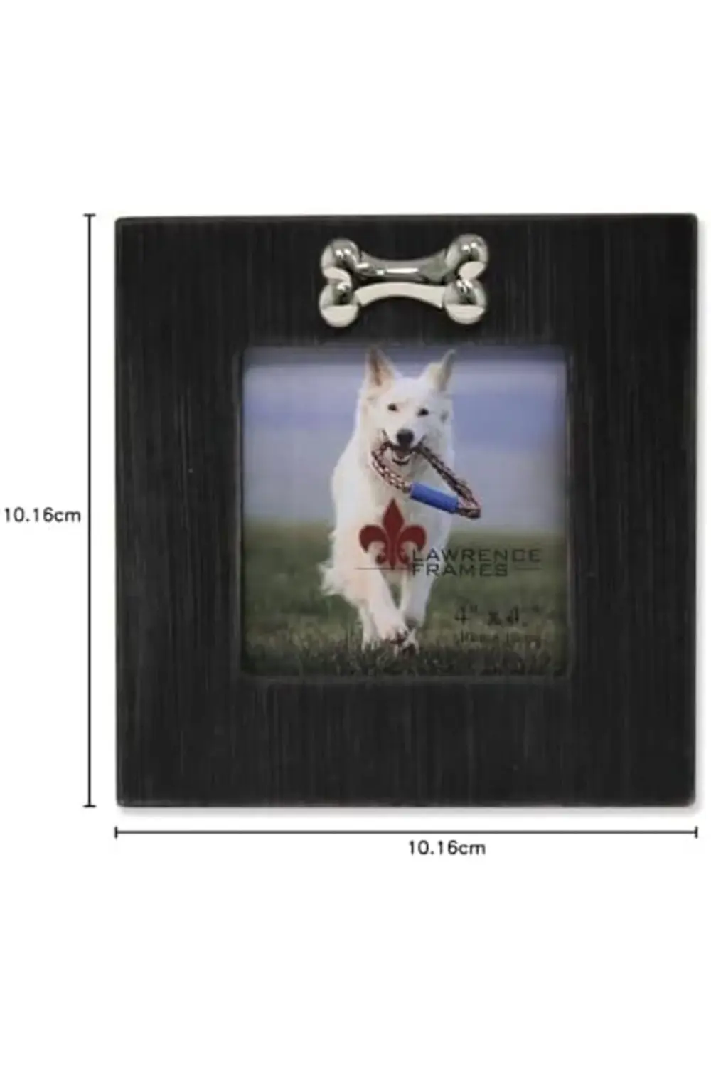 lvnshop Frames Köpek Kemikli Çerçeve, 10x10 cm, Siyah 224120