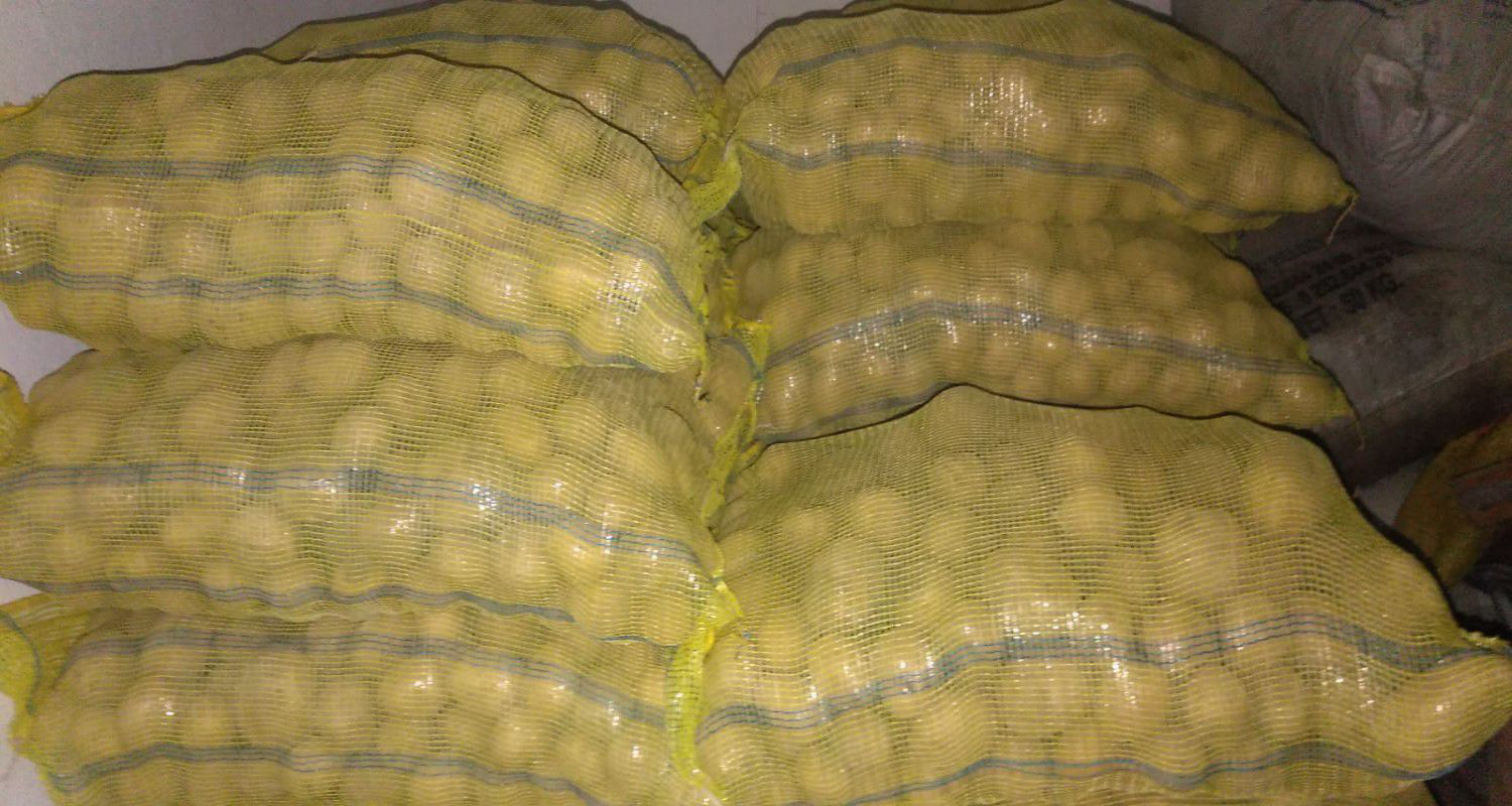 Madeleine Patates Tohumu 5 Kg