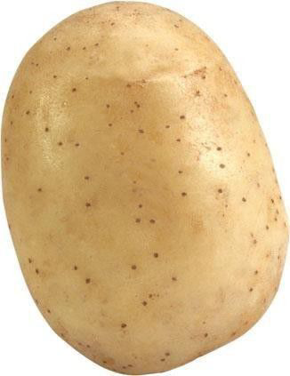 Madeleine Patates Tohumu 1 Kg