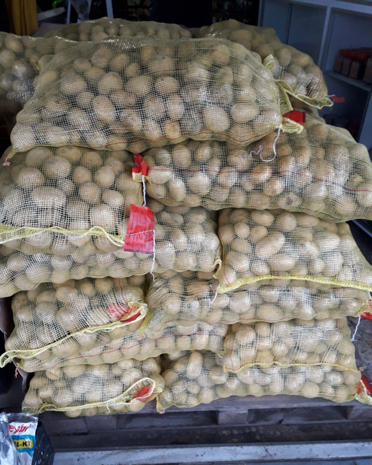 Madeleine Patates Tohumu 1 Kg