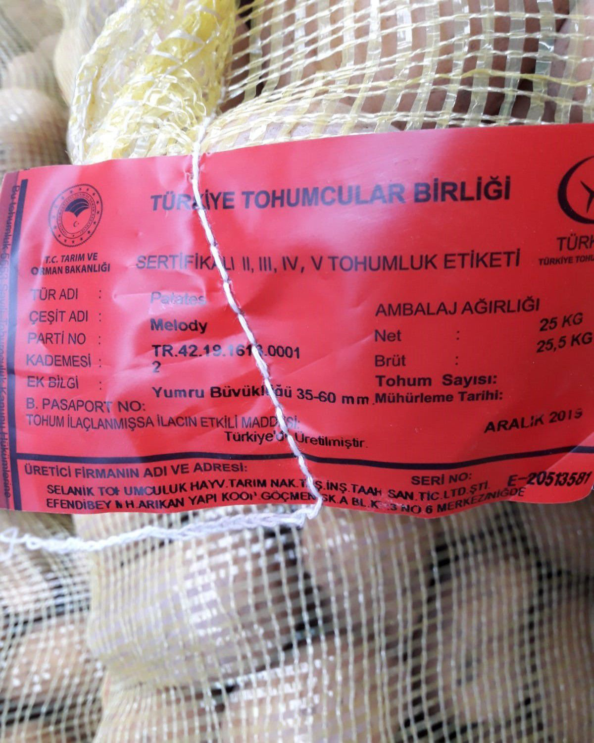 Madeleine Patates Tohumu 5 Kg