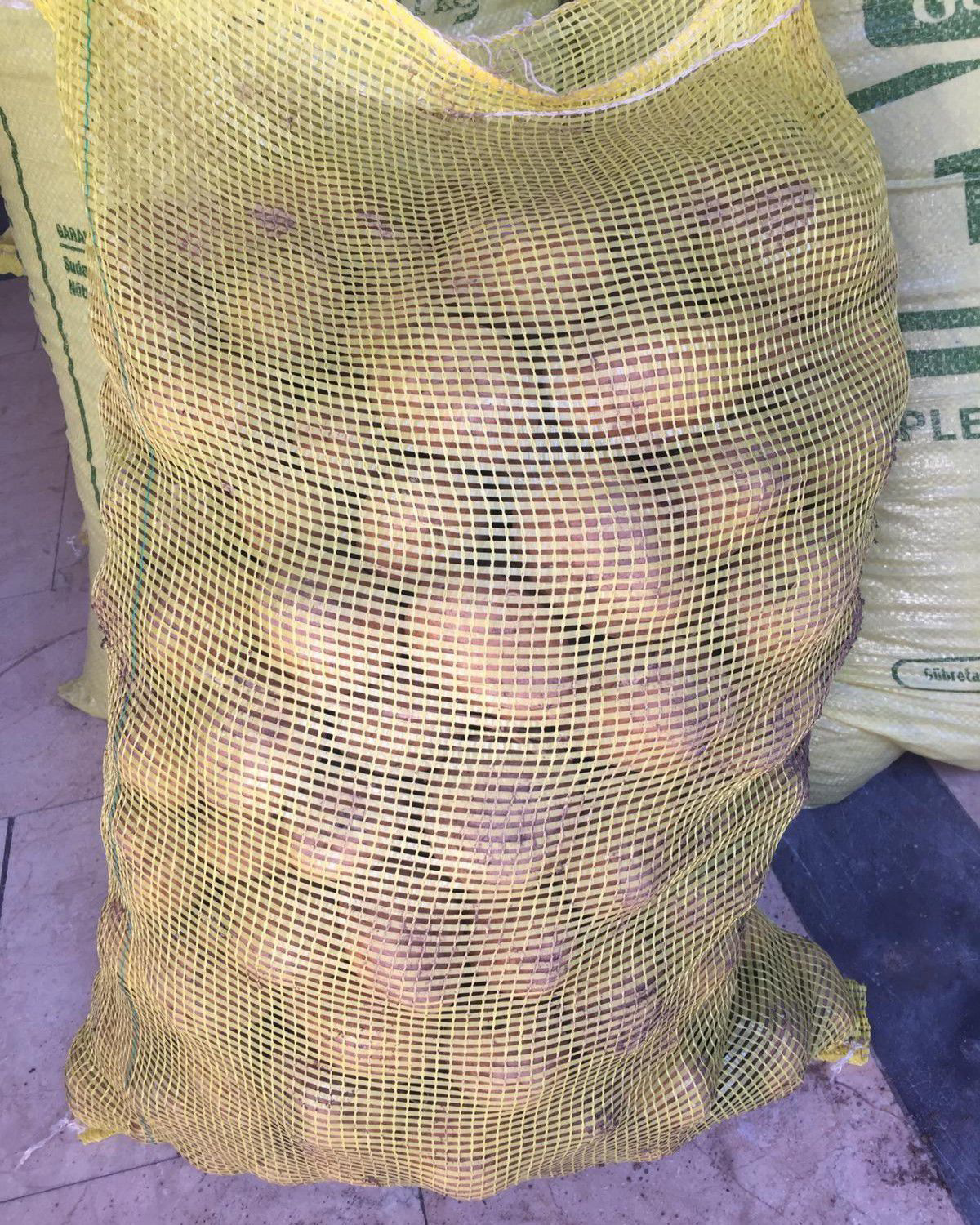 Madeleine Patates Tohumu 1 Kg