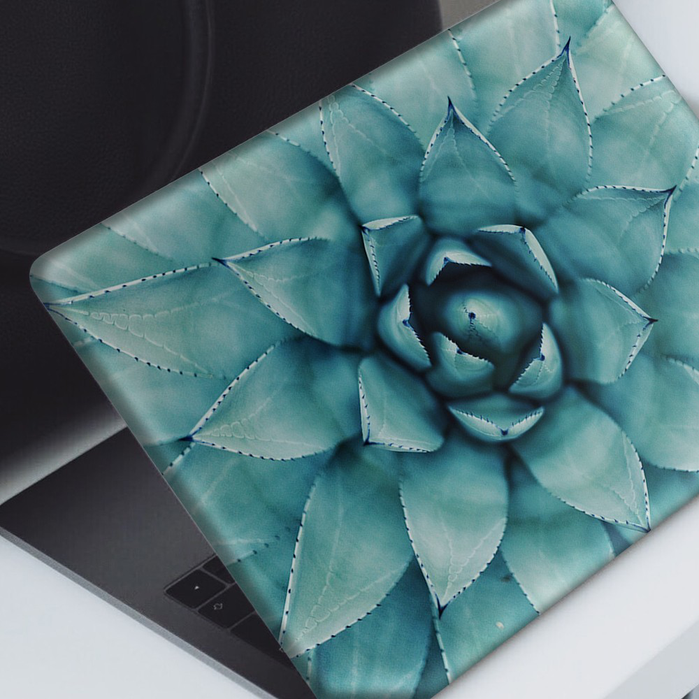 Artikel Makro Sukulent Notebook Sticker, Laptop Sticker,Hp Sticker, Asus Artikel Makro Sukulent Notebook Sticker, Laptop Sticker,Hp Sticker, Asus