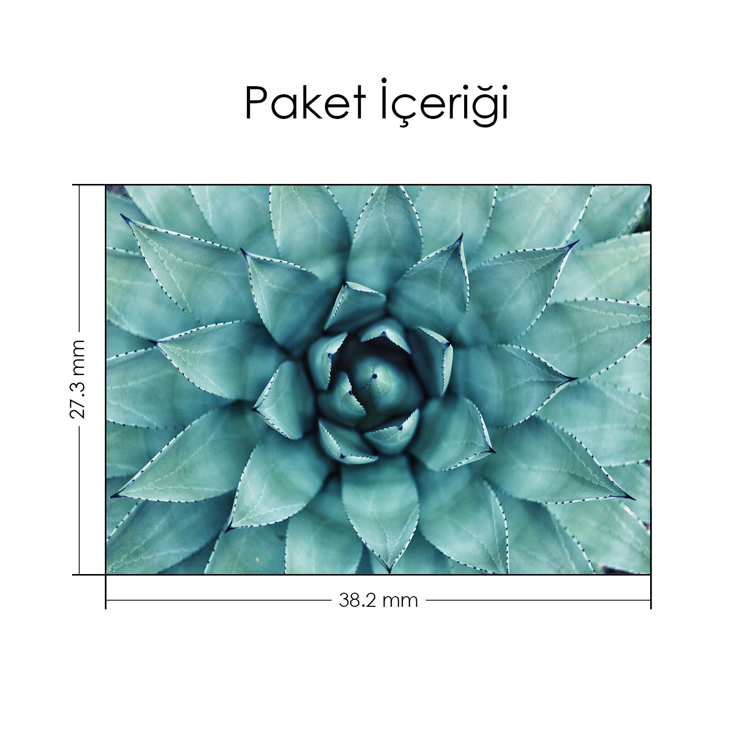 Artikel Makro Sukulent Notebook Sticker, Laptop Sticker,Hp Sticker, Asus Artikel Makro Sukulent Notebook Sticker, Laptop Sticker,Hp Sticker, Asus