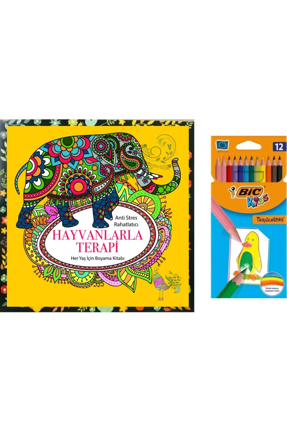 Mandala Büyükler Için Boyama 12 Renk Kuru Boya Kalemi M.s