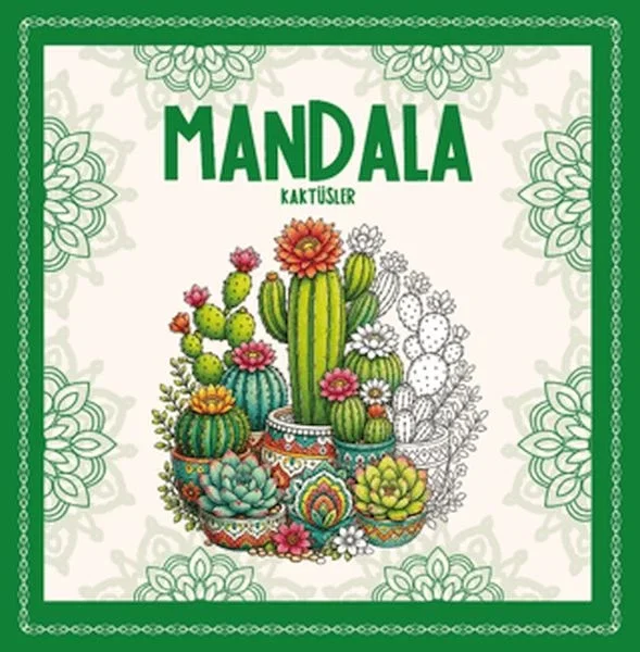 Mandala - Kaktüsler Fiyatı, Yorumları ve Özellikleri
