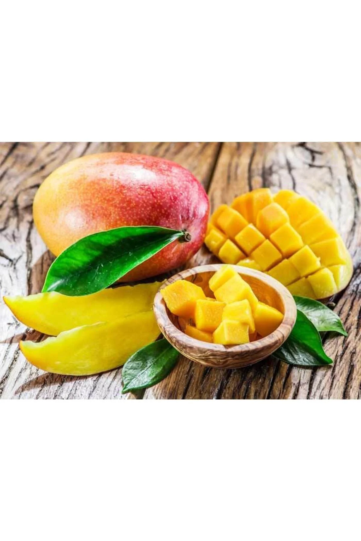 Mango Fidanı 25 Ila 30 cm Mango Fidanı 25 Ila 30 cm