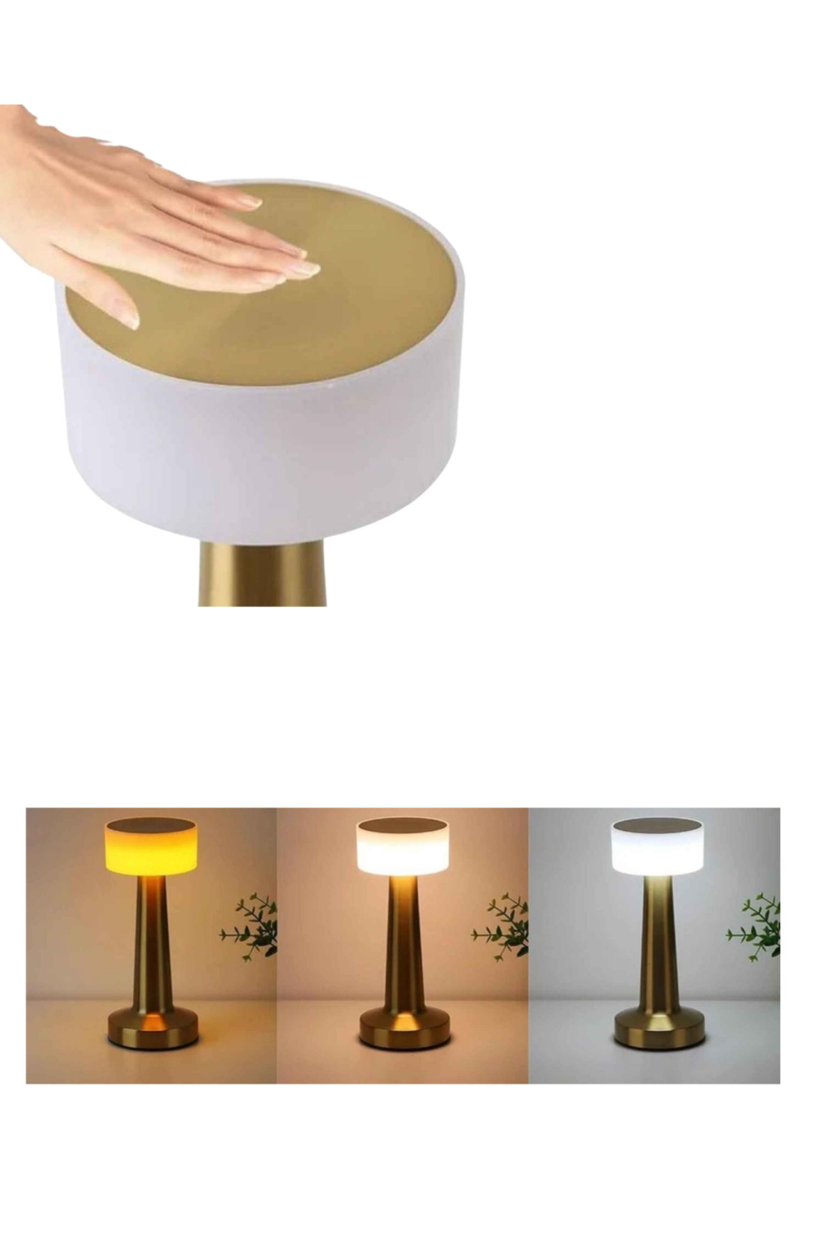 MANTAR GOLD KARE - Lisinya