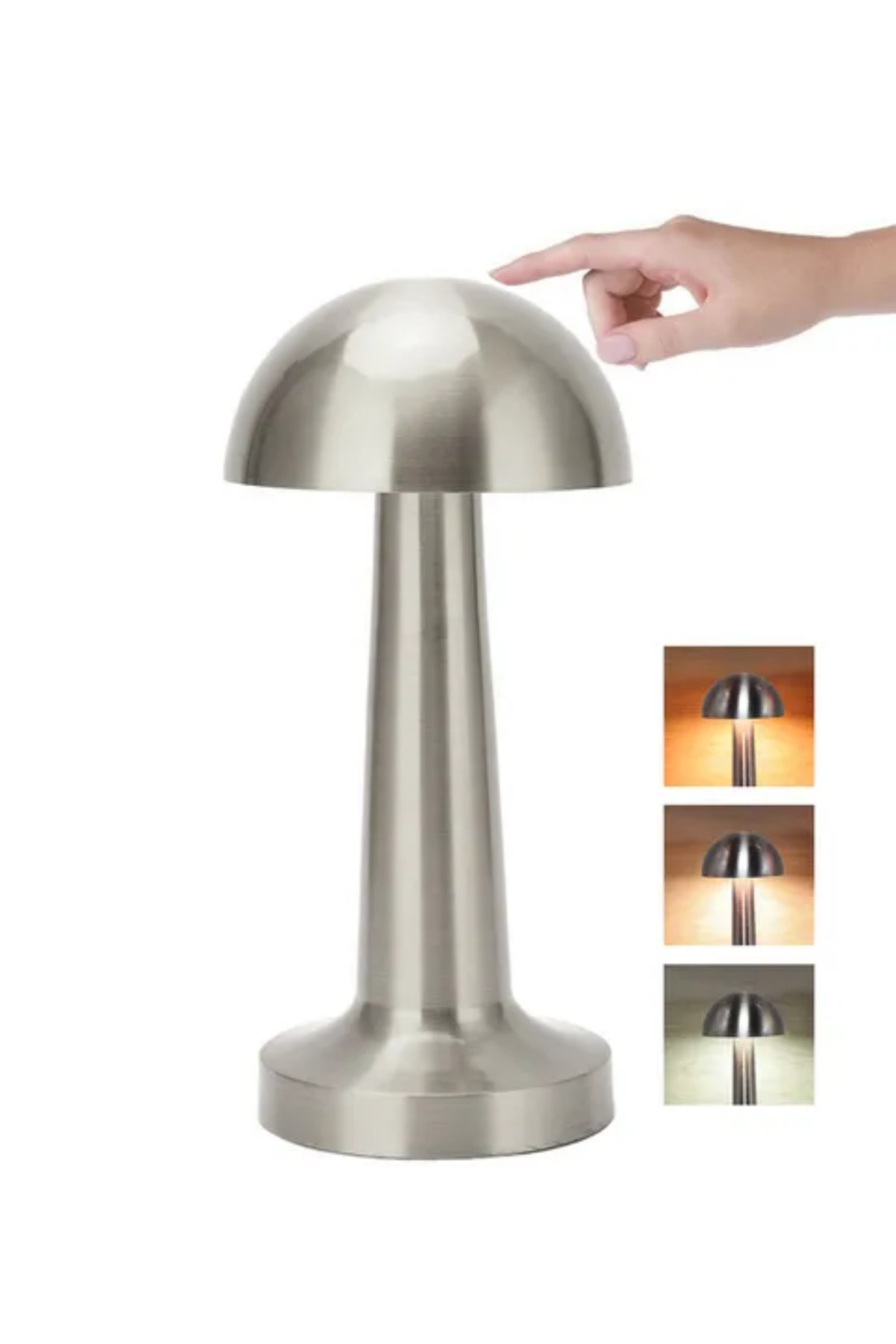 MANTAR GÜMÜŞ - Lisinya