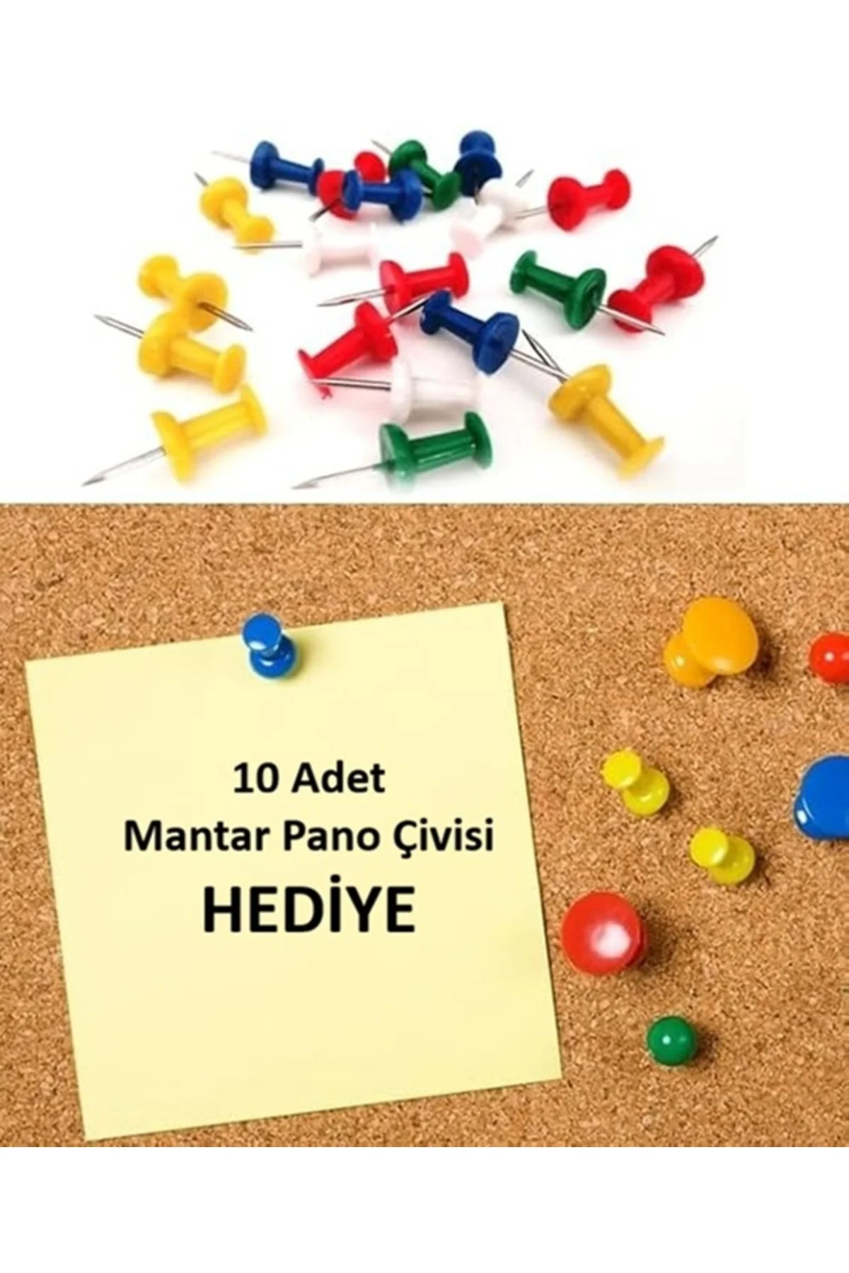 Mantar Pano 30x40 cm Ahşap Çerçeve