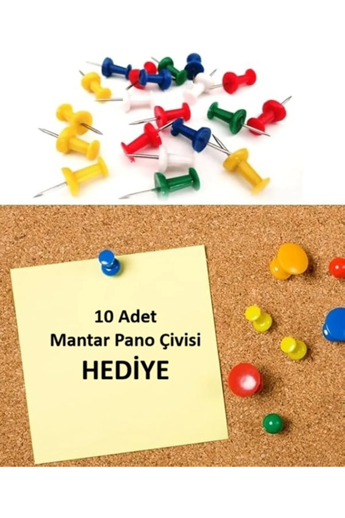 Mantar Pano 30x40 cm Ahşap Çerçeve