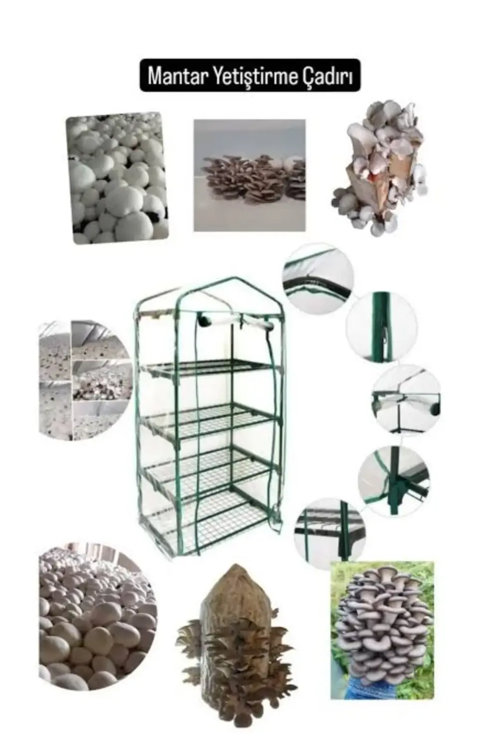 Mantar Yetiştiriciliği İçin Özel Ev, Balkon, Dış ve İç Mekan Sera