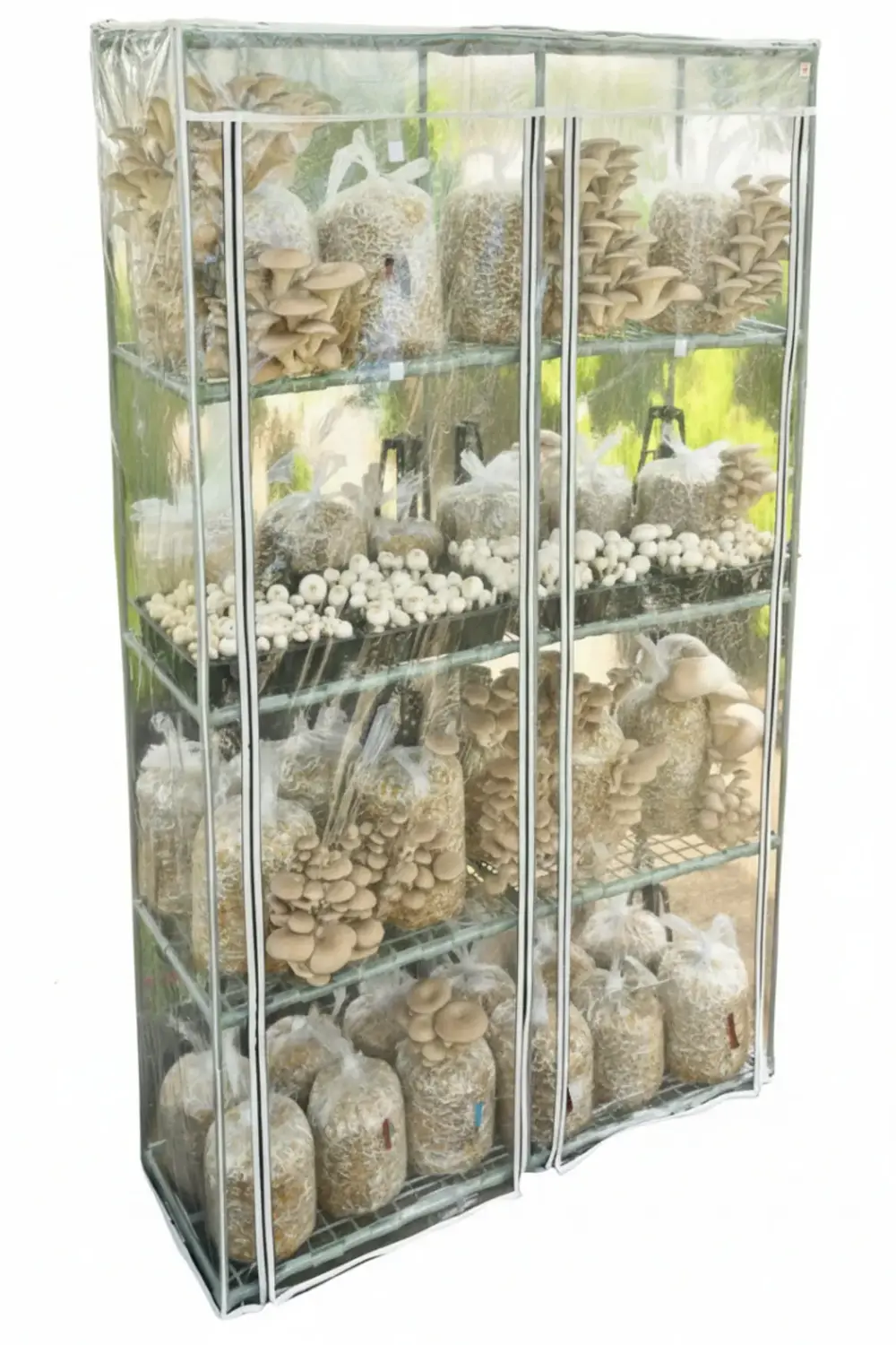 Mantar Yetiştiriciliği İçin Özel Ev, Balkon, Dış ve İç Mekan Sera