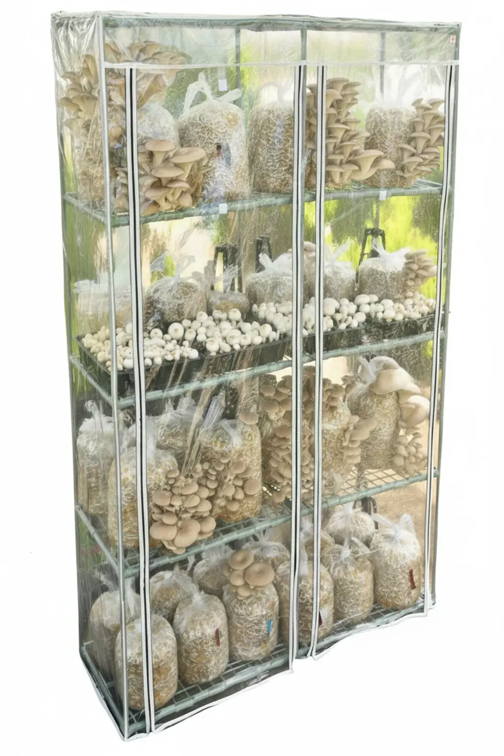 Mantar Yetiştirme Çadırı