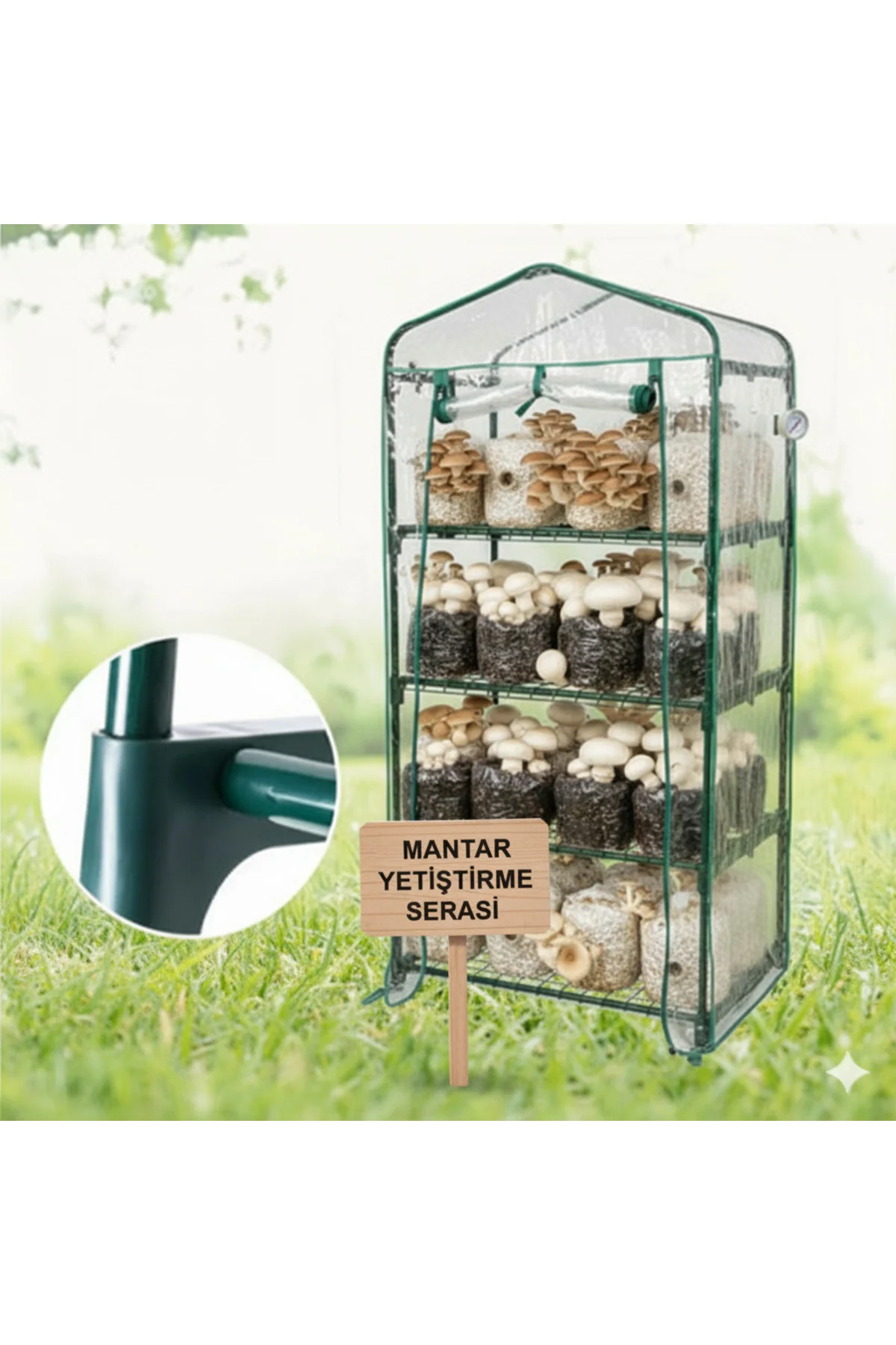 Mantar Yetiştirme Serası + Hediye Üzüm Fidanı Tohumları